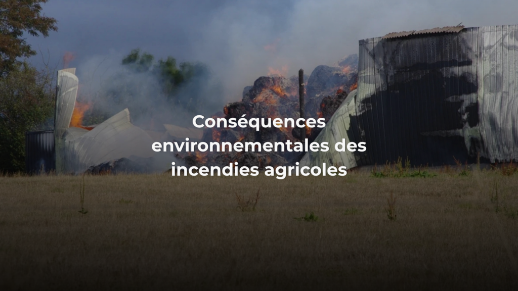 L'association Espèces sans issue passe en revue les différents type de pollution qui découlent d'un incendie agricole et leurs conséquences environnementales